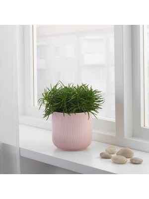 Ikea Gradvıs Saksı Pembe 12 cm 60414078