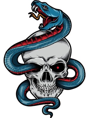 Sticker Fabrikası Yılanlı Kurukafa Kuru Kafa Kurukafa 00519