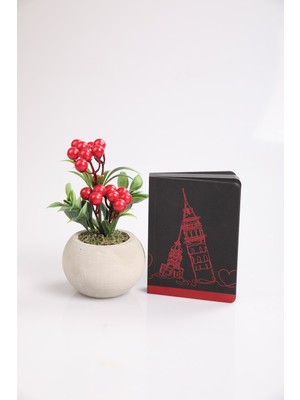 Kibrithane Çiçek Özel Gün Konsepti Kokina ve Tasarım Defter KCS0420064