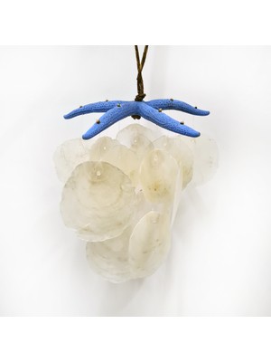 SSH-1427 Mavi Parmak Yıldızlı Placuna