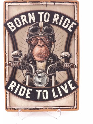 Lotis Born To Ride  Kutusu