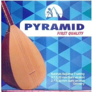004/PPST Premium Uzun Sap Saz Teli 0.20 First Quaility