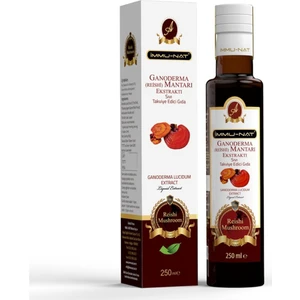 Reishi Mantarı Ekstraktı 250 ml