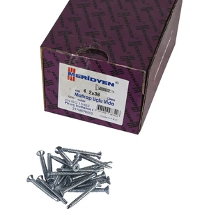 4.2 x 38 mm Meridyen Yhb Matkap Uçlu Vida 500 Adet