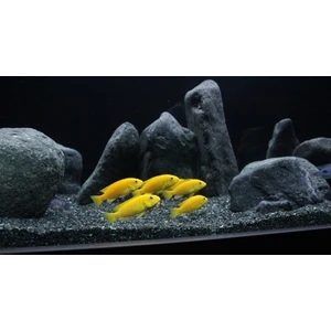 Akvaryum Kumu Bazalt 10 kg (1-3 Mm) - (2-4 Mm) Bitki Kumu + 1 kg Kuvars Hediye