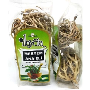 Ilayda Meryem Ana Eli Otu