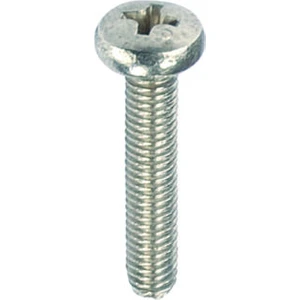 M6X10 Ysb Dın 7985 Beyaz 25 Adet