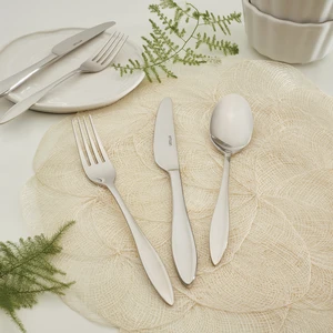 Aden 6 Kişilik 24 Parça Çatal Kaşık Bıçak Seti