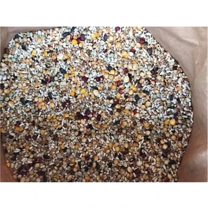 Güvercin Yemi Buğdaysız Süper Karışık 5 kg