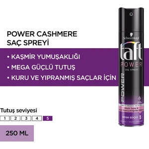 Power Sprey 250 ml