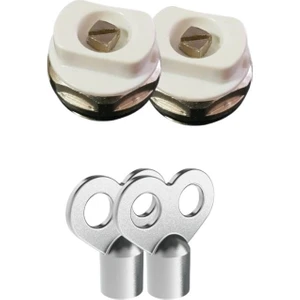 2 Adet Radyatör Hava Alma Tapası + Purjör  2li Set