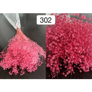 Fuşya Şoklu Cipso - Kuru Çiçek