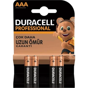 Alkalin Professional Aaa İnce Kalem Pil 4'lü Paket