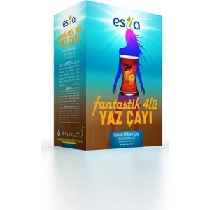 2 Adet Esila Fantastik Dörtlü Yaz Çayı 90 Süzen Poşet