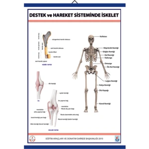 Destek Ve Hareket Kemik Sistemi Levhası 140 x 100 cm
