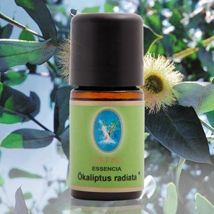 Ökaliptus Radiata 5 ml