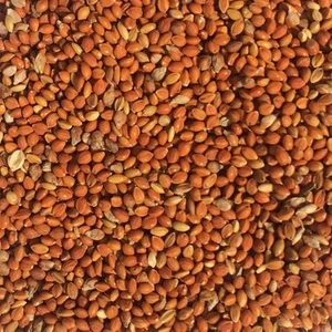 İksir Prof Kızıl Darı 1 kg
