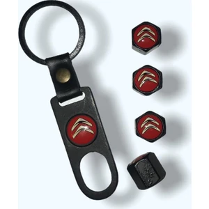 Citroen Araba Oto Metal Sibop Kapak