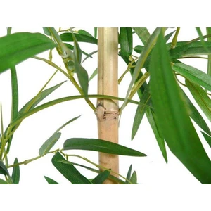 Kalın Gövdeli Yapay Yapraklı Bambu 24-26MM 135CM 5ADET
