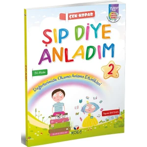 Koza Yayın Dağıtım Şıp Diye Anladım 2. Sınıf