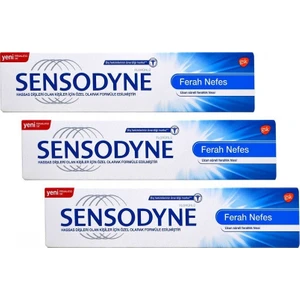 Ferah Nefes Diş Macunu 100 ml x 3 Adet
