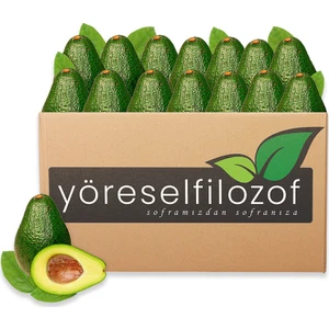 Avokado (10 Adet)