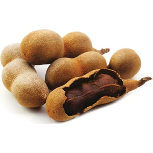 Murat Tohumculuk Murat Tohum Tropikal Demir Hindi Meyvesi Tohumu 5 Adet Tohum