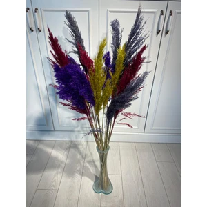 Nişantaşı Tasarım Karışık Pampas 20 Li 110 cm