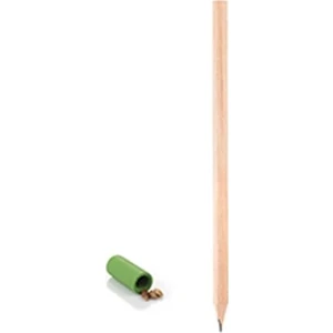 Karaçam Tohumu Tohumlu Kurşun Kalem Tekli