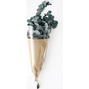 Mini Hediye Diğer Şoklanmış Doğal Kuru Çiçek Mavi Yapraklı Okaliptus Demeti