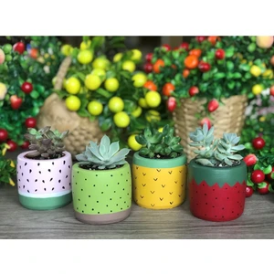4'lü Sukulent ve Kaktüs Saksı Seti-Çiçeksiz-Tutti Frutti Meyveler