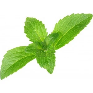 Murat Tohum Stevia Şeker Otu Tohumu 15 Adet Tohum