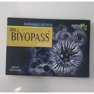 Esela Byopass  Pastil