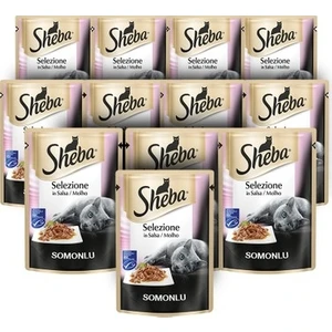 Somonlu Pouch Konserve Kedi Maması 85 gr x 12 Adet