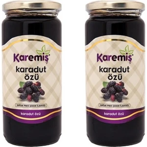 Karadut Özü 2'li (Yoğun Pekmez) - (2 × 640 Gr)