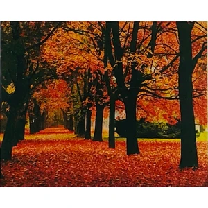 Hi Stone 5D Elmas Boncuk Taş İşleme Mozaik Goblen Kit Tablo 50 x 40 cm GC73478