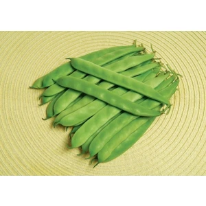 Murat Tohumculuk Murat Tohum Bodur Sarıkız Erkenci Fasulye Tohumu 15 'li Tohum