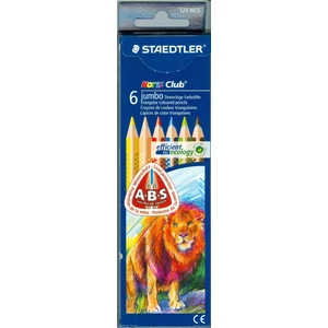 Jumbo Kuru Boya 6'lı