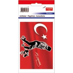 Stc-274 Ata Etiketi 2'li