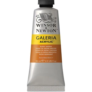 Winsor & Newton Galeria Akrilik Boya 60 ml Burnt Sienna 074