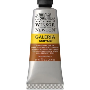 Winsor & Newton Galeria Akrilik Boya 60 ml Burnt Sienna Opaque 077