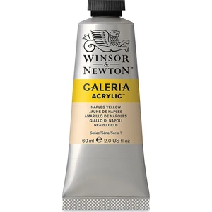 Winsor & Newton Galeria Akrilik Boya 60 ml Naples Yellow 422