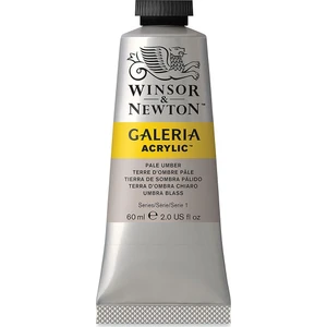 Winsor & Newton Galeria Akrilik Boya 60 ml Pale Umber 438