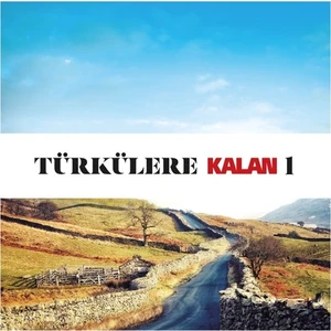 Türkülere Kalan 1 - Çeşitli Sanatçılar - 2 CD