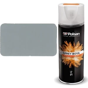 Sprey Boya Gri 306-7001