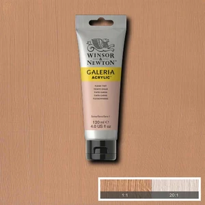 Winsor & Newton Galeria Akrilik Boya 120 ml Flesh Tint 257