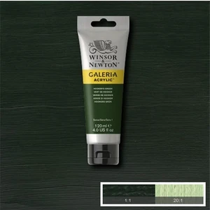 Winsor & Newton Galeria Akrilik Boya 120 ml Hooker's Green