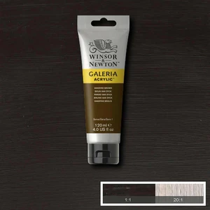 Winsor & Newton Galeria Akrilik Boya 120 ml Vandyke Brown