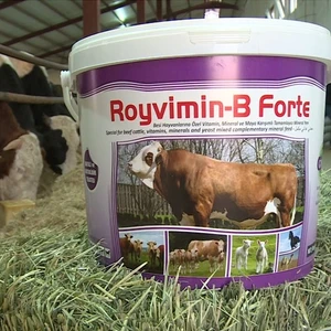 Royal İlaç Royal Royvimin B Forte Kova- 25 kg Maya + Vitamin + Mineral