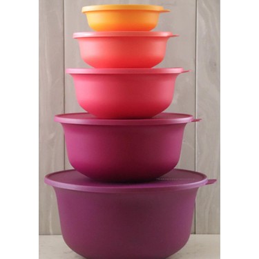 Tupperware Aloha 5'li Set Mor Tupperware Fiyatı